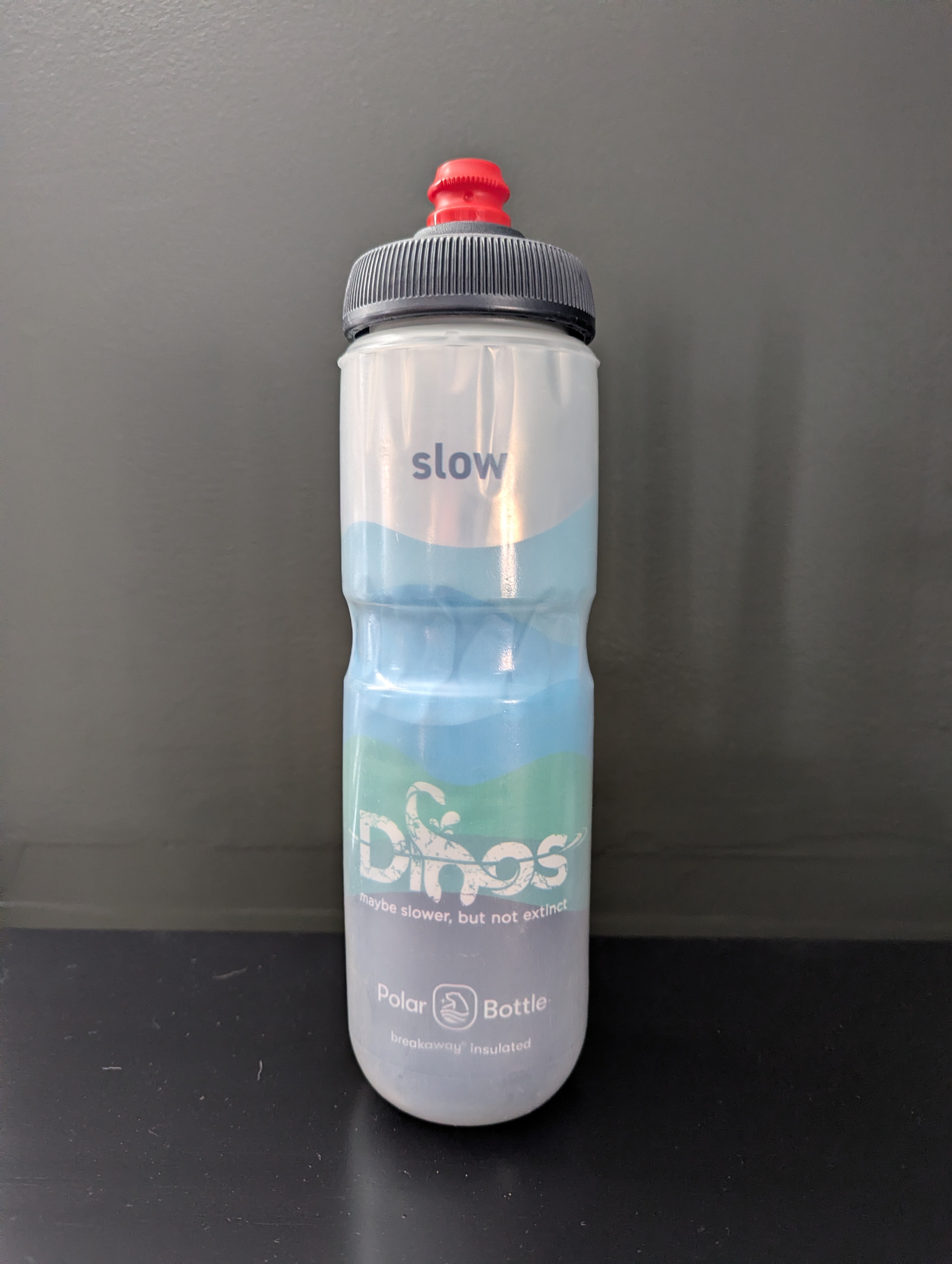 Dinos Water Bottle